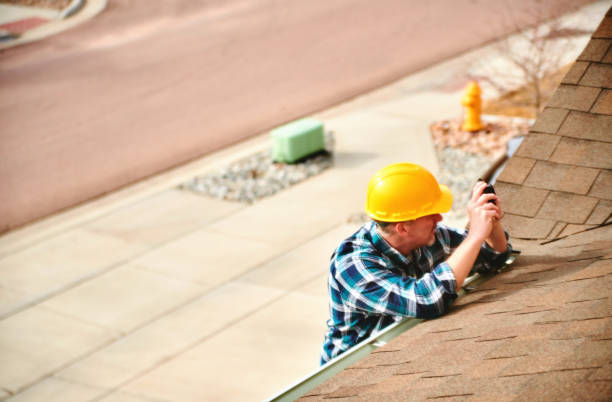 Best Roof Gutter Cleaning  in Bellefonte, DE