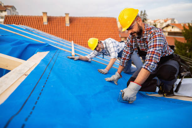 Best Roof Waterproofing Services  in Bellefonte, DE